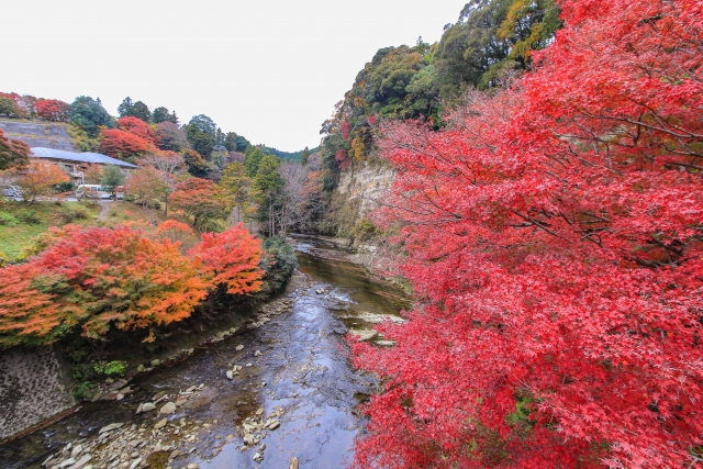 養老渓谷の秋の紅葉
