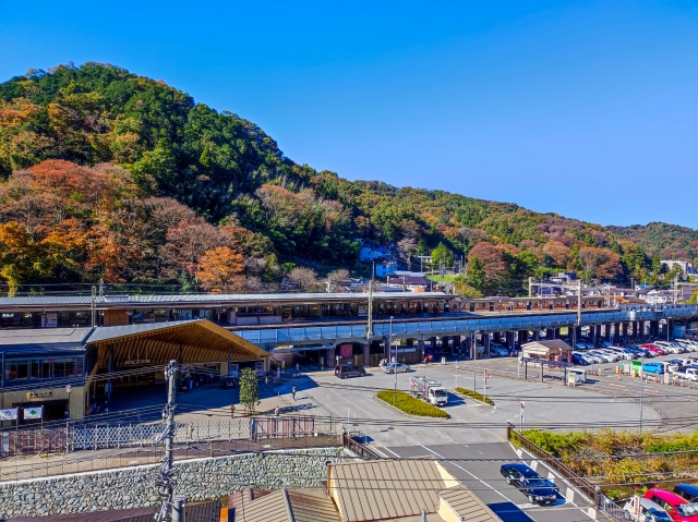秋の高尾山の風景