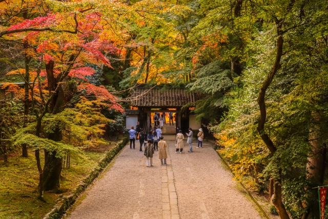 香嵐渓の秋の紅葉