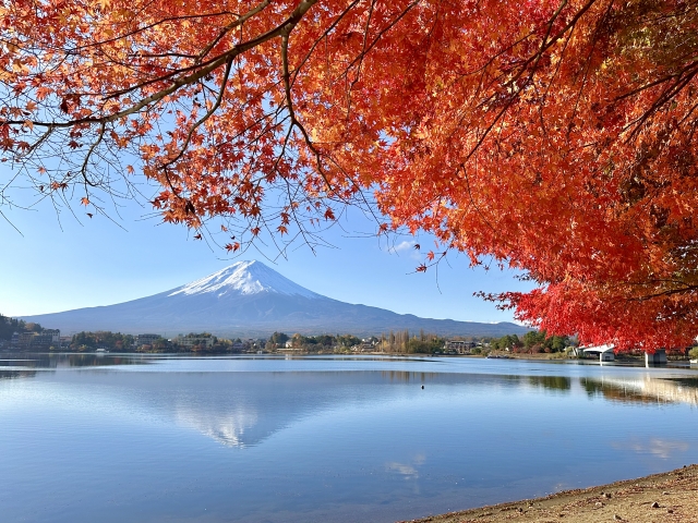 富士河口湖紅葉まつり