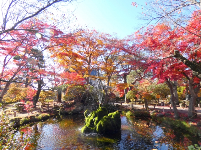小諸城址懐古園の紅葉