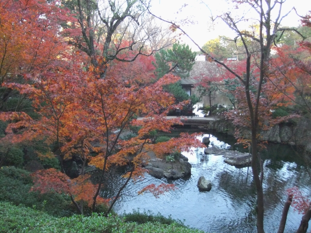 和歌山城の秋の紅葉