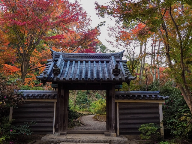 三溪園の秋の紅葉