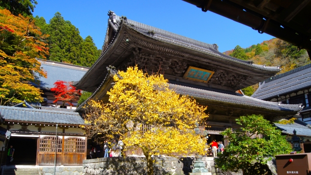 永平寺の秋の紅葉