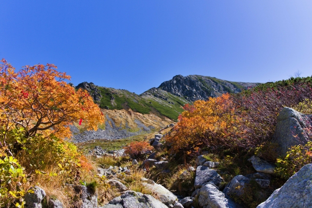 立山黒部アルペンルートの紅葉