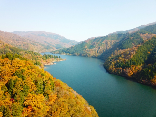 九頭竜湖の秋の紅葉