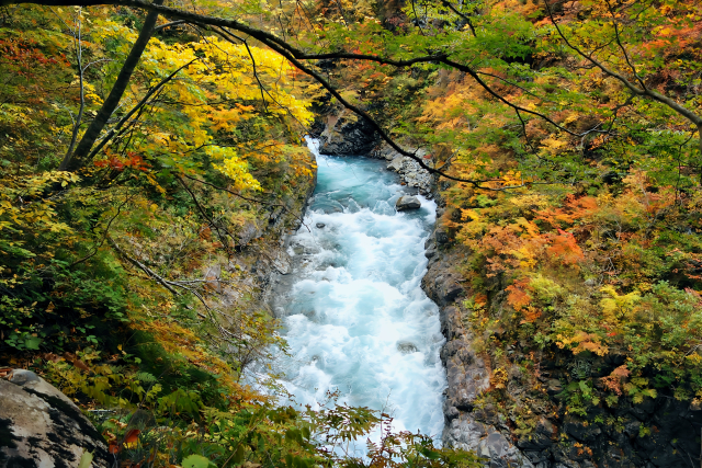 清津峡の秋の紅葉
