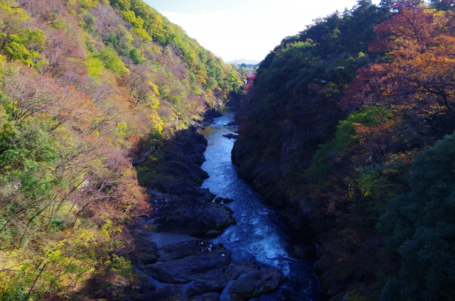 わたらせ渓谷の秋の紅葉