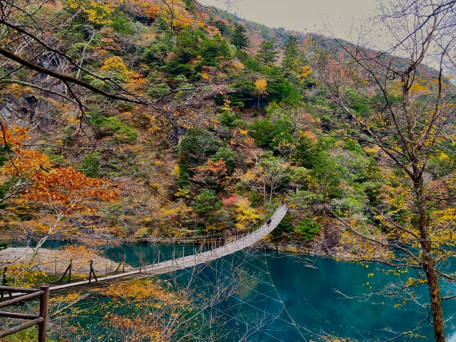 寸又峡の夢のつり橋と紅葉