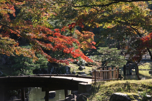 彦根城と玄宮園の秋の紅葉