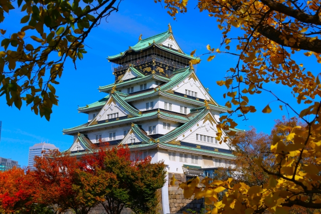 大阪城公園の秋の紅葉