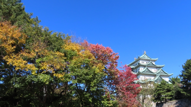 秋の名古屋城