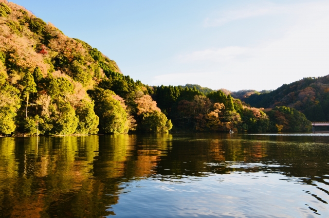 亀山湖の秋の紅葉