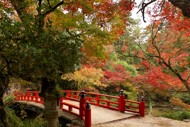 宮島紅葉谷公園の秋の紅葉