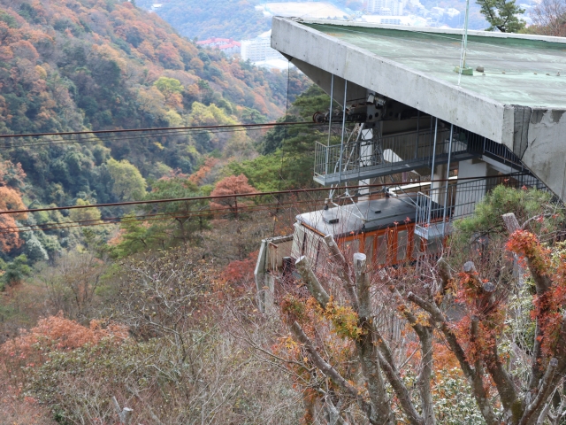 六甲山の秋の紅葉