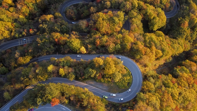 いろは坂の秋の紅葉