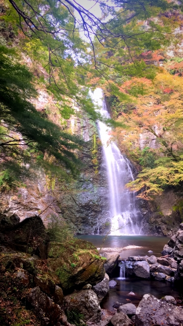 箕面大滝の秋の紅葉