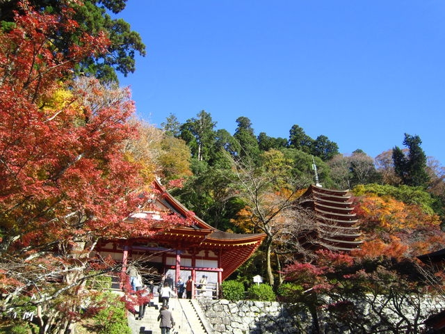 談山神社の秋の紅葉
