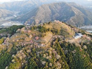 愛媛県大洲市にある冨士山公園の桜