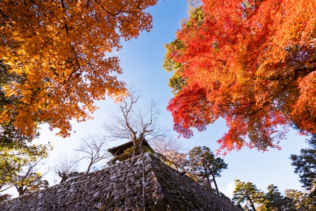 高知城の秋の風景