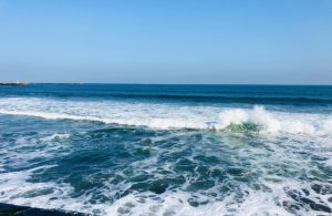 大洗の冬の海と海鮮グルメ