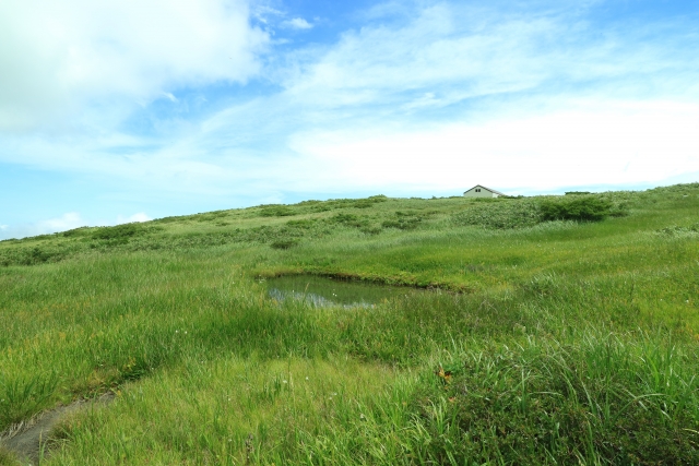 山形県鶴岡市の月山弥陀ヶ原