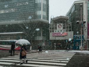 金沢近江町市場の冬グルメ