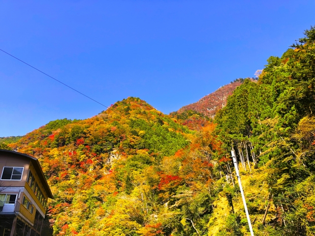 高知県べふ峡の秋の紅葉