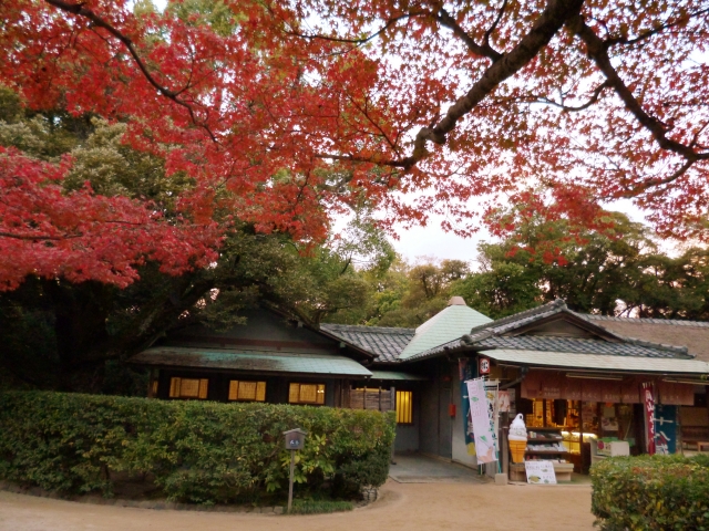 岡山後楽園の秋の風景