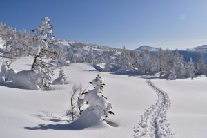 八甲田の樹氷と雪景色