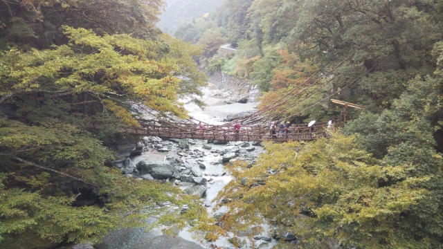 祖谷のかずら橋と秋の紅葉