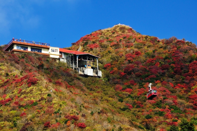 長崎県雲仙仁田峠の秋の紅葉