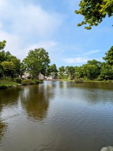 北海道釧路市のチューリップと春の花