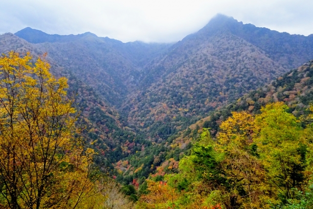 愛媛県石鎚山の秋の紅葉