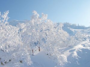 秋田県横手市のかまくら
