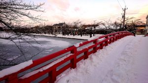 雪に包まれた弘前公園