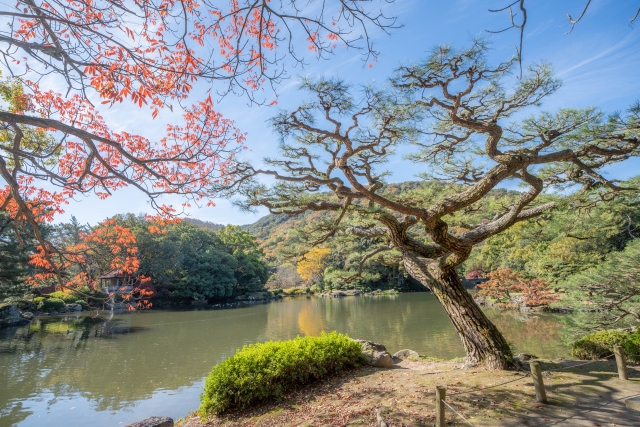 香川県栗林公園の秋の紅葉