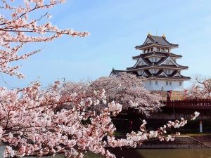 岐阜県大垣市の墨俣一夜城と桜