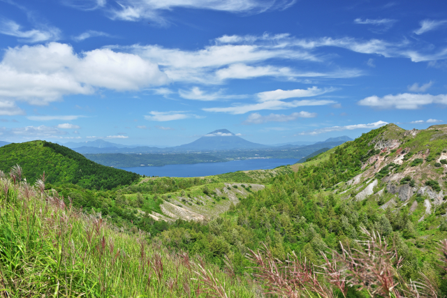 羊蹄山を望む北海道真狩村の夏景色