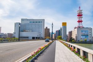 新潟市の萬代橋周辺に並ぶチューリップ