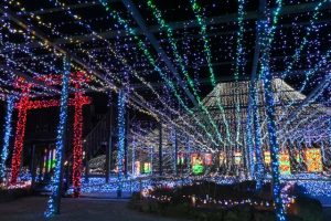 由志園の冬のライトアップ