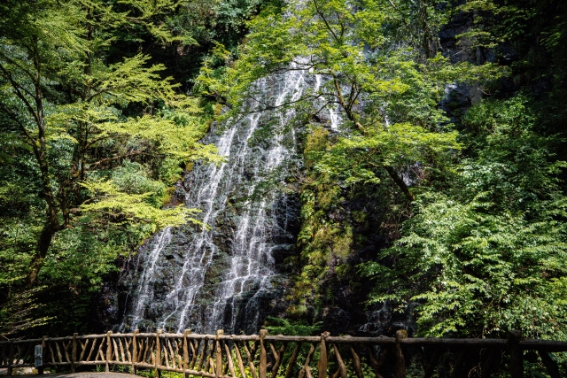 福井県池田町の龍双ヶ滝