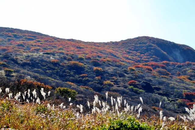 大分県くじゅう連山の秋の紅葉