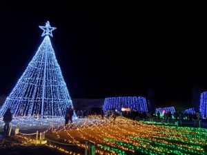 国営讃岐まんのう公園のウィンターファンタジー
