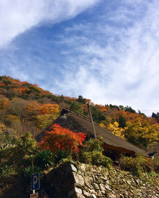 熊本県五家荘の秋の紅葉